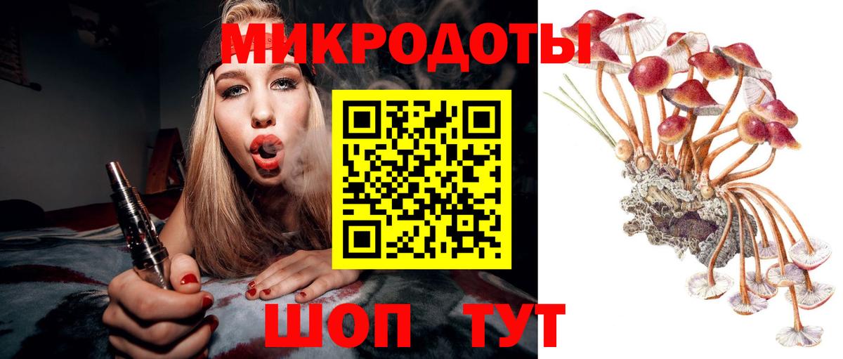 Псилоцибиновые грибы Cubensis Елец